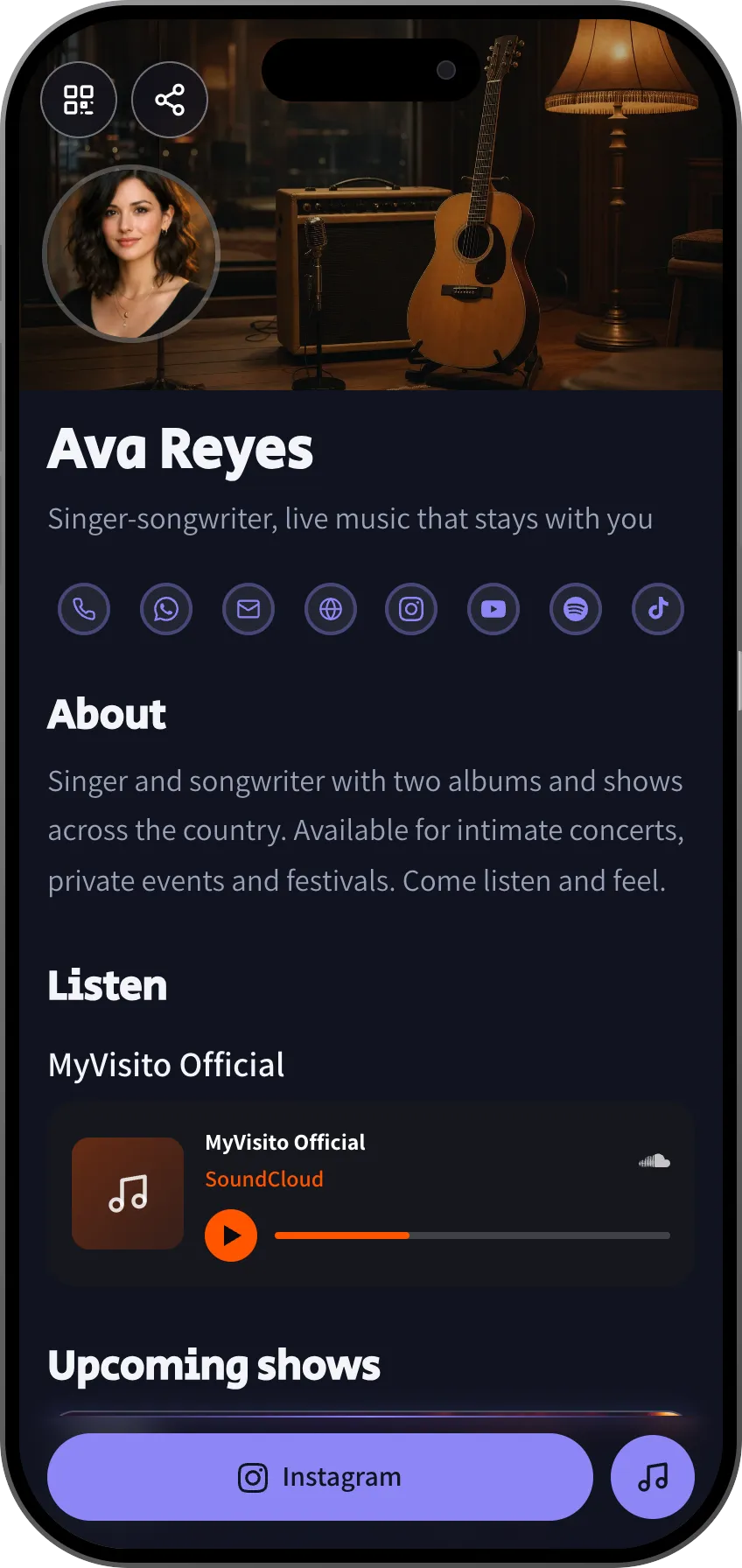 Musician digital business card template: shows, music and show booking. A MyVisito template